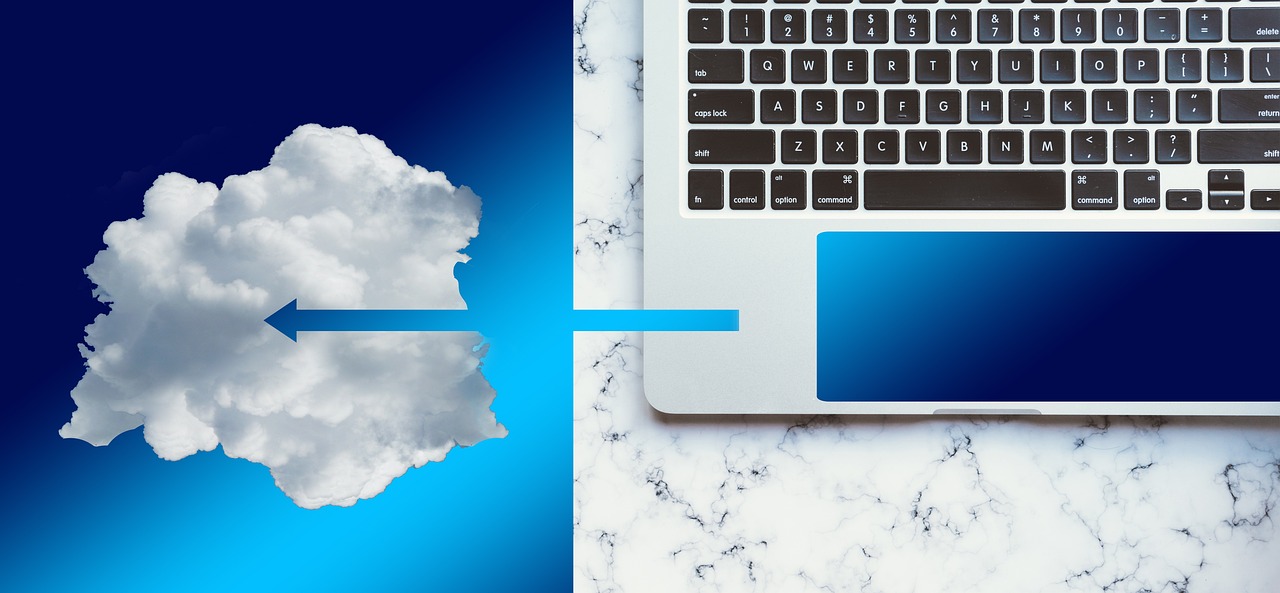 Choosing Software Service Choosing Software Service