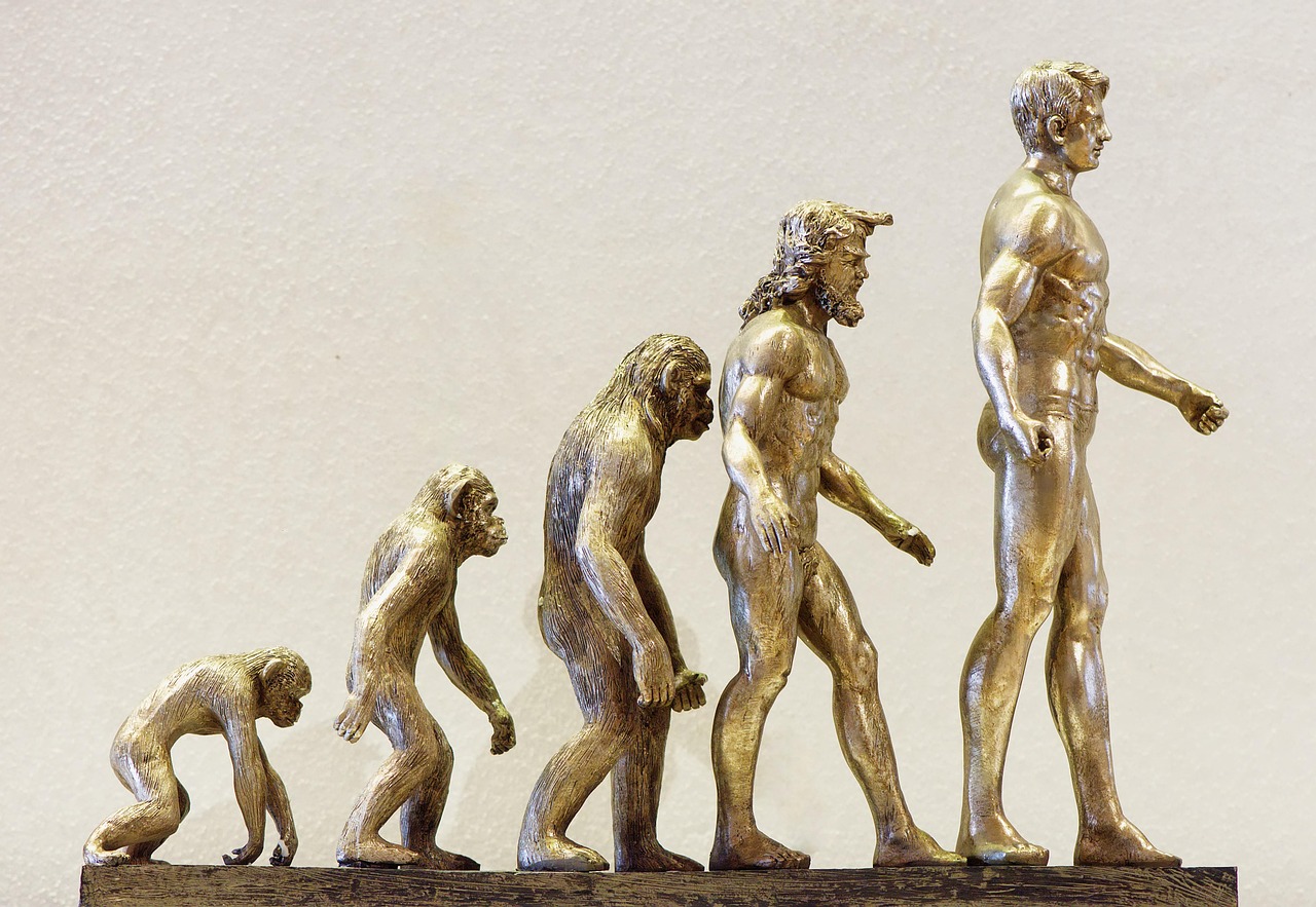 Evolution of Software Services Evolution of Software Services